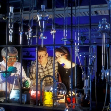 lab